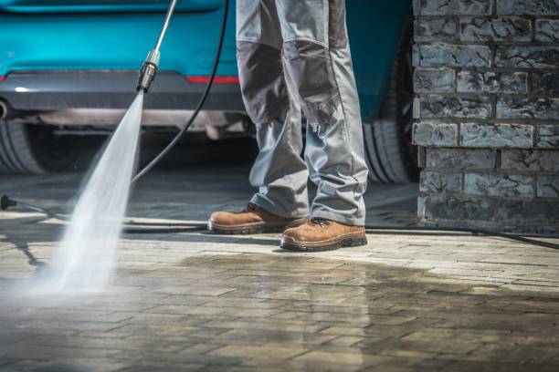 Best Fleet Vehicle Washing  in Roy, UT